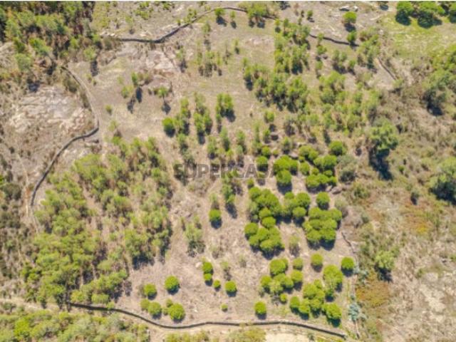 Terreno venda em Mangualde Terreno venda em Mangualde