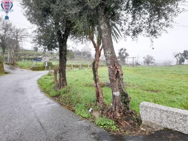 Terreno venda em Grovelas São João Evangelista, Viana Do Castelo