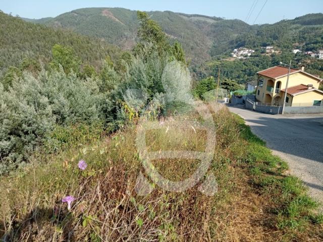 Terreno venda em Coimbrã, Torres Do Mondego