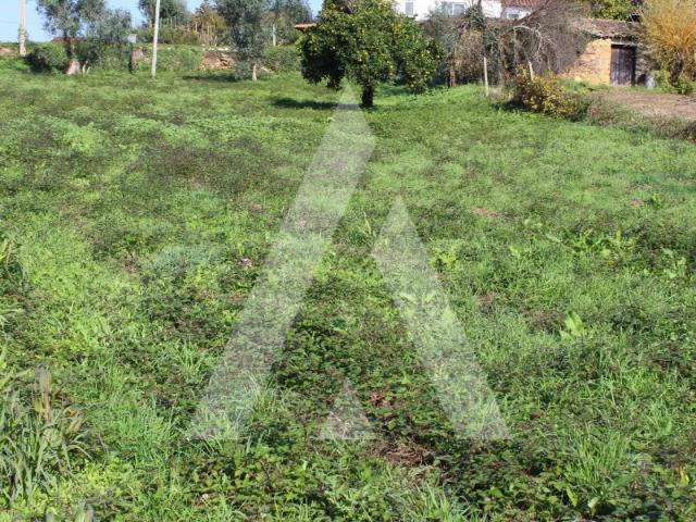 Terreno venda em Poiares (Santo André), Vila Nova De Poiares