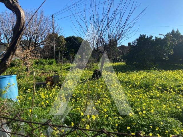 Terreno venda em Anadia, Aveiro