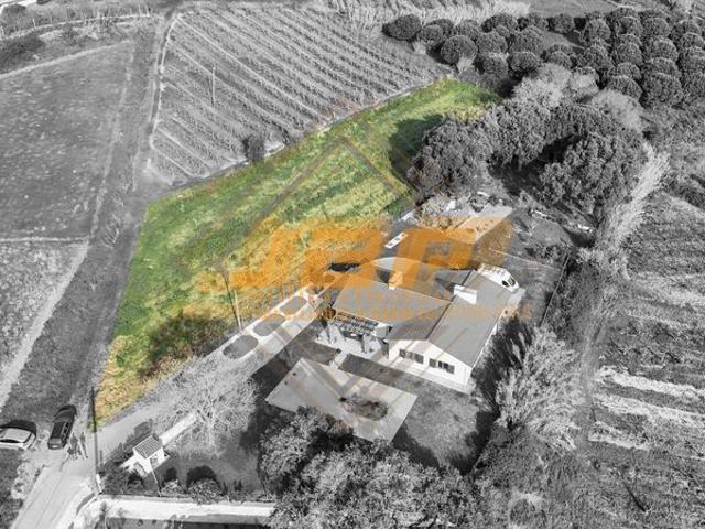 Terreno venda em Alcobaça, Leiria