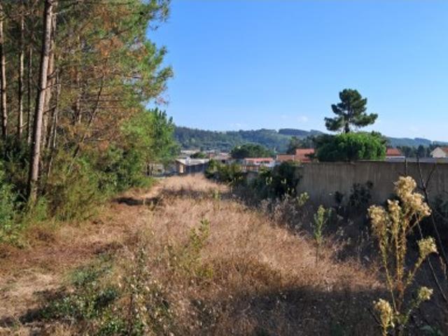 Terreno venda em Pederneira, Leiria