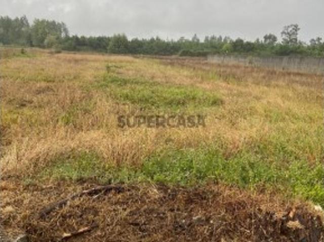 Terreno venda em Caetanos, Cantanhede