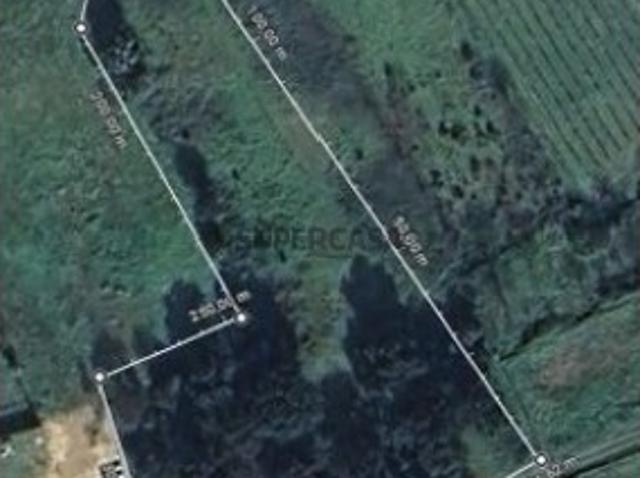 Terreno venda em Anadia, Aveiro