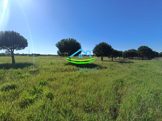 Terreno venda em Arneiro do Tecelão, Montemor-o-velho