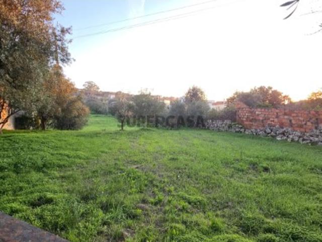 Terreno venda em Pombal, Leiria