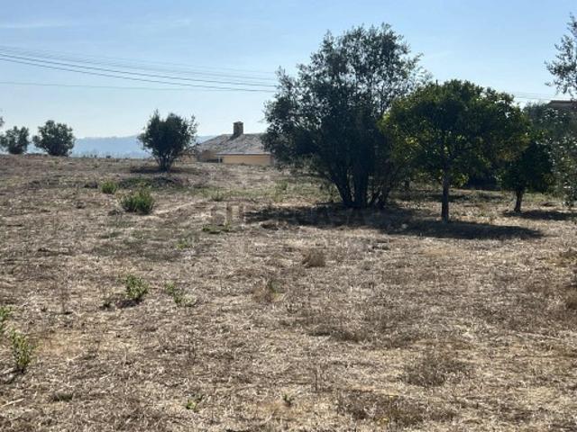 Terreno venda em Tomar, Santarém