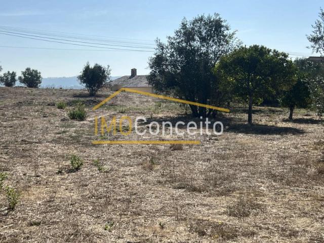 Terreno venda em Asseiceira, Tomar