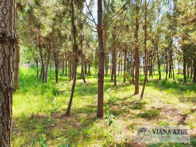 Terreno venda em Viana Do Castelo