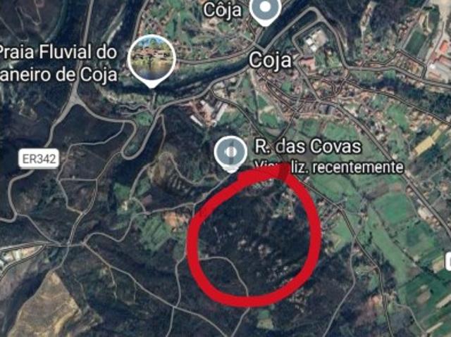 Terreno venda em Arganil, Coja