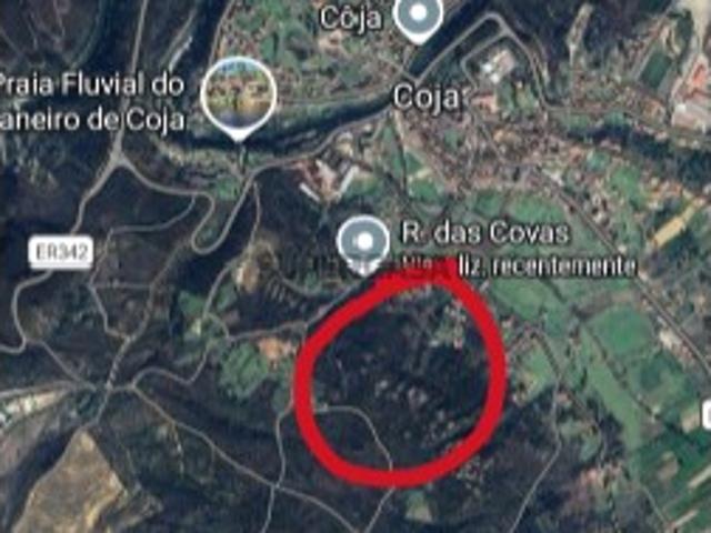 Terreno venda em Arganil, Coja