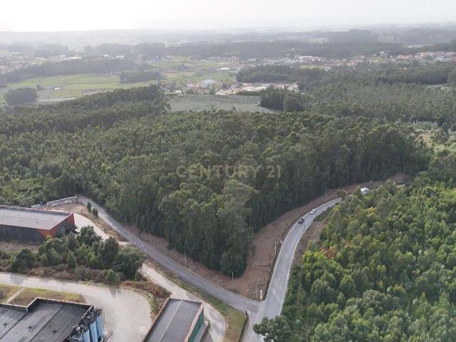 Terreno venda em Vila Do Conde, Porto