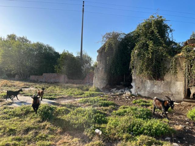 Terreno venda em Ílhavo, Aveiro
