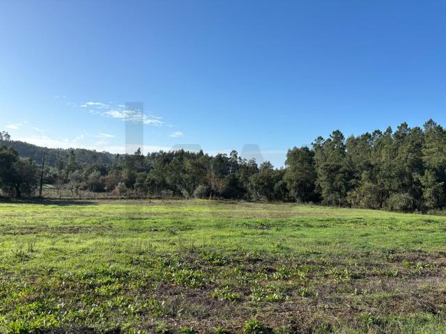 Terreno venda em Tomar, Santarém