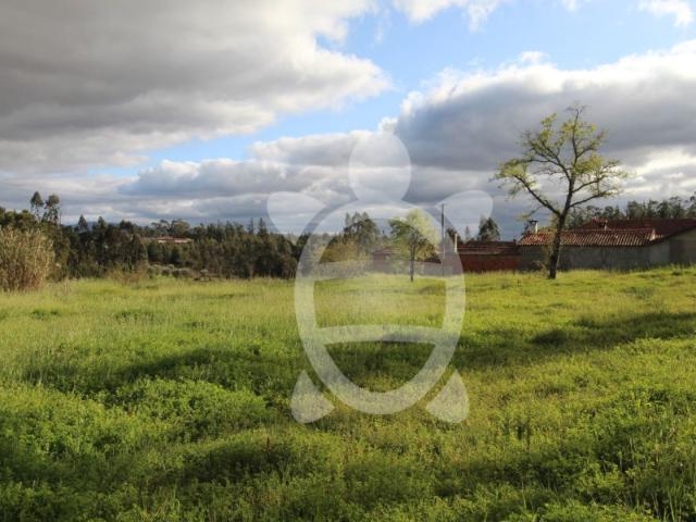 Terreno venda em Condeixa-a-nova, Coimbra