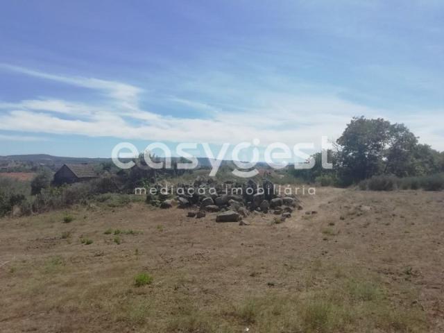 Terreno venda em Castelo Branco, Caria