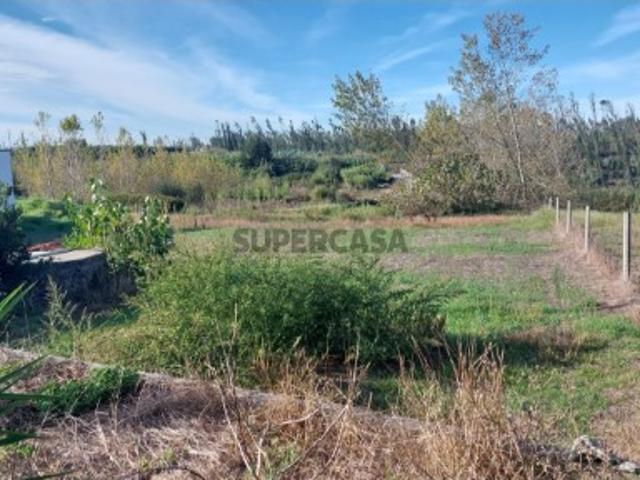 Terreno venda em Monte Real e Carvide, Leiria