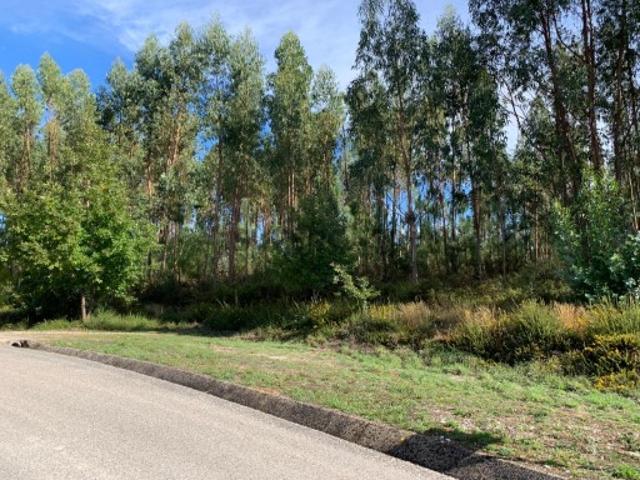 Terreno venda em Pedrógão Grande, Leiria