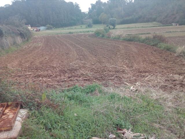 Terreno venda em Oliveira De Azeméis, Aveiro