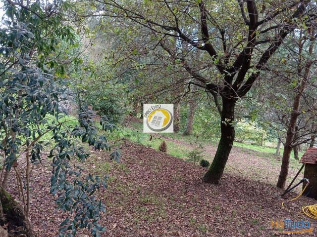 Terreno venda em Oliveira De Azeméis, Aveiro