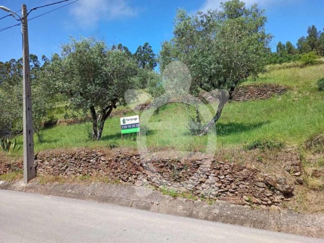 Terreno venda em Penela, Coimbra