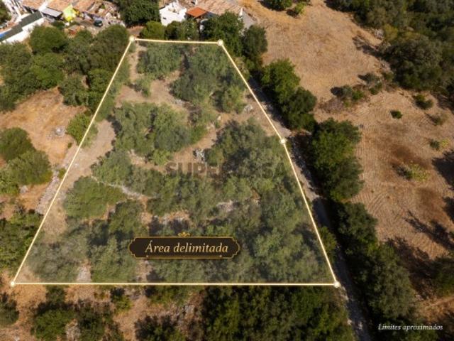 Terreno venda em São Brás De Alportel, Faro