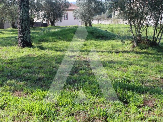 Terreno venda em Poiares (Santo André), Vila Nova De Poiares