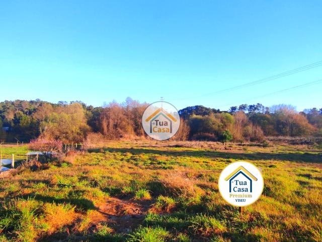 Terreno venda em Viseu