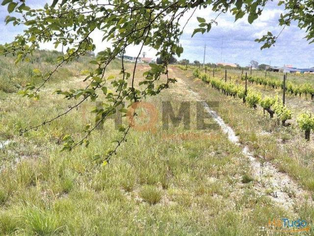 Terreno venda em Almeirim, Santarém