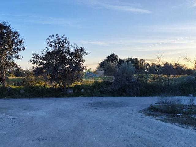 Terreno venda em Reguengos De Monsaraz, Évora
