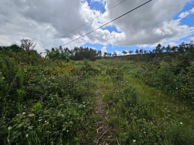 Terreno venda em Águeda