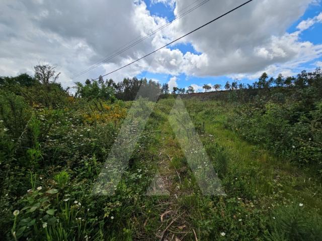 Terreno venda em Landiosa, Águeda