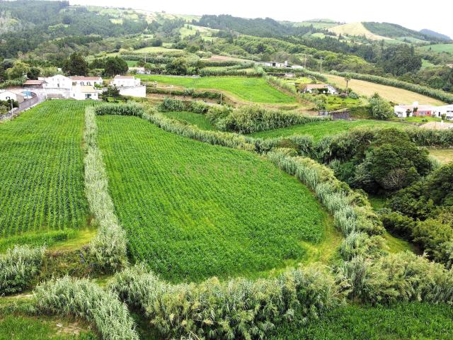 Terreno venda em Açores, Ginetes