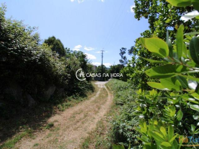 Terreno venda em Viseu