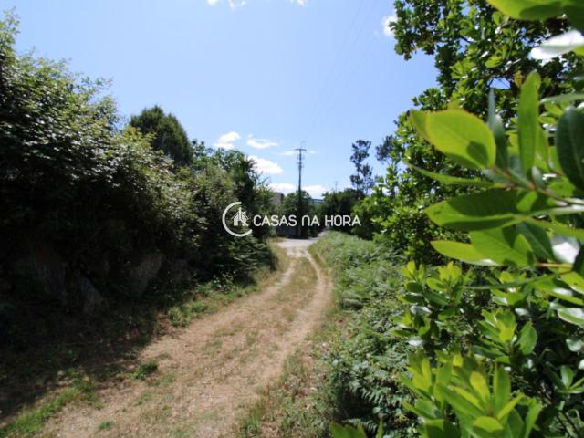 Terreno venda em Monte Salvado, Viseu