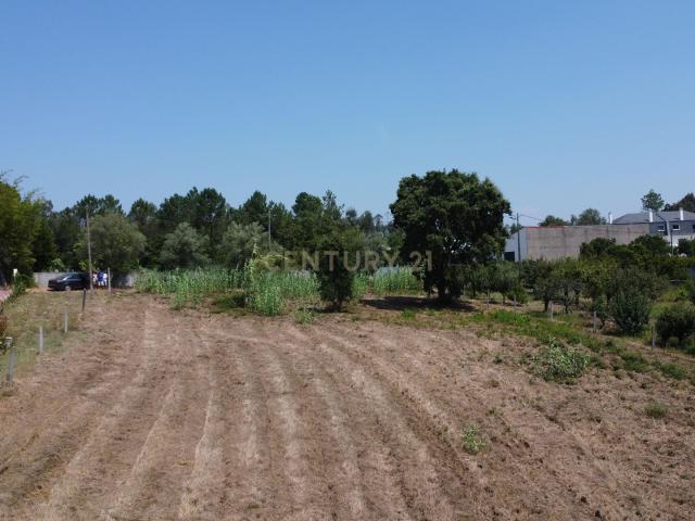 Terreno venda em Vale da Arieira, Leiria