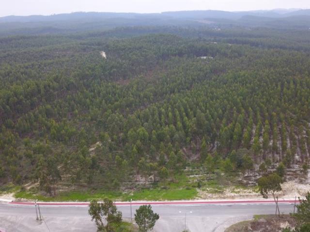 Terreno venda em Vale de Óbidos, Rio Maior