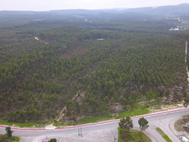 Terreno venda em Vale de Óbidos, Rio Maior