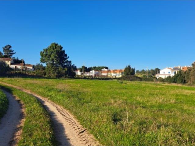 Terreno venda em Óbidos, Pinhal Terreno venda em Óbidos, Pinhal