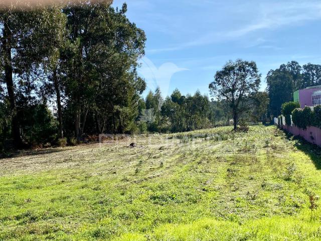 Terreno venda em Rio Maior, Santarém