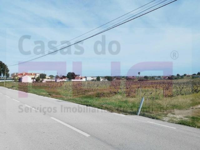 Terreno venda em Poceirão e Marateca, Palmela