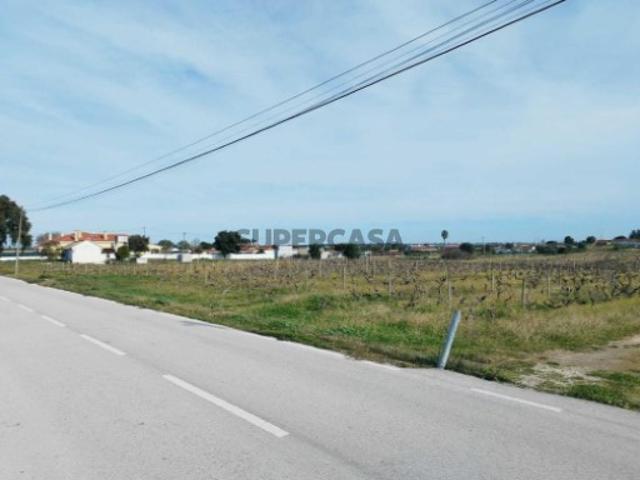 Terreno venda em Palmela, Setúbal