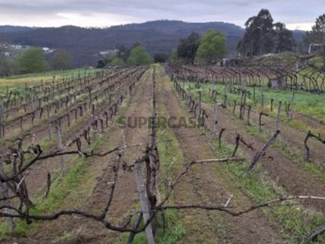 Terreno venda em Rio Mau, Avessadas e Rosém
