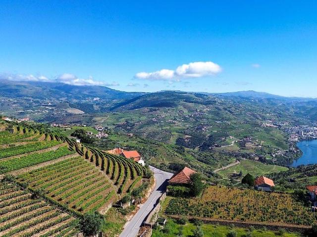 Quinta venda em Lamego, Viseu