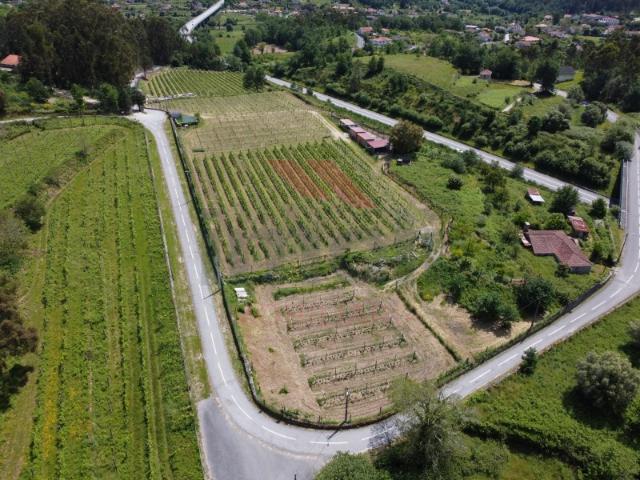 Terreno venda em Jolda (São Paio), Arcos De Valdevez