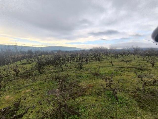 Terreno venda em Chaves, Vila Real