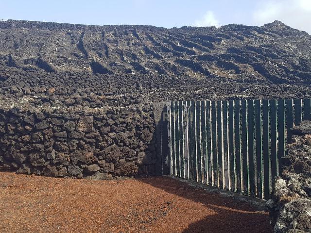 Terreno venda em Açores, Madalena