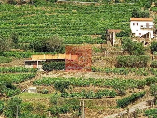 Terreno venda em Lamego, Viseu