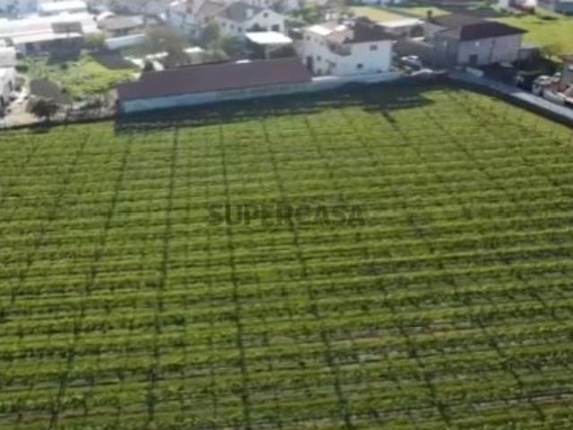 Terreno venda em Arcozelo, Braga